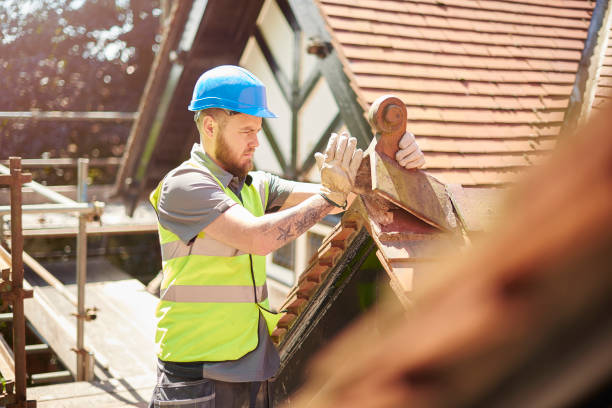Best Roof Gutter Cleaning  in Chain Lake, WA