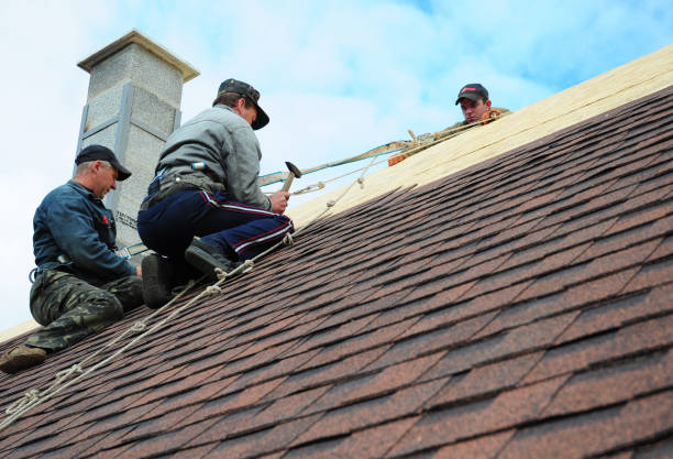 Best Metal Roofing Contractor  in Chain Lake, WA